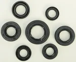 VERTEX Oil Seal Kit - Durable EPDM Gasket Set for Motorcycles & ATVs