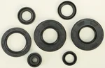 VERTEX 822291 Oil Seal Kit - High-Quality Gasket Set for Motorcycle/ATV Engines