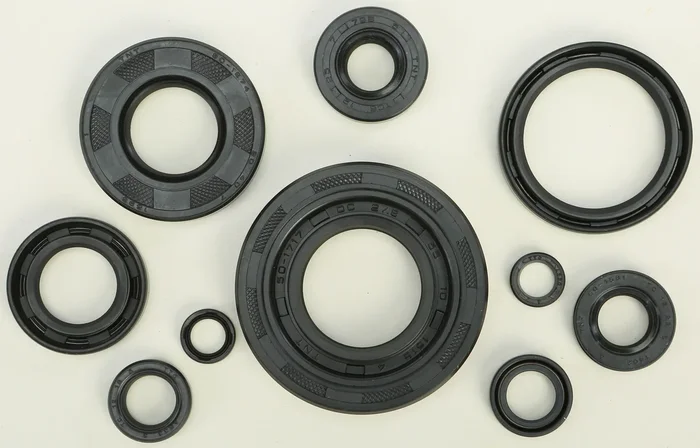 VERTEX Oil Seal Kit for Powersports - Durable Gasket Set for Reliable Engine Performance