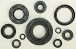 VERTEX Oil Seal Kit for Powersports - Durable Gasket Set for Reliable Engine Performance
