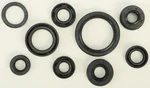 VERTEX Oil Seal Kit - High-Quality Gasket Replacement for Powersports Equipment