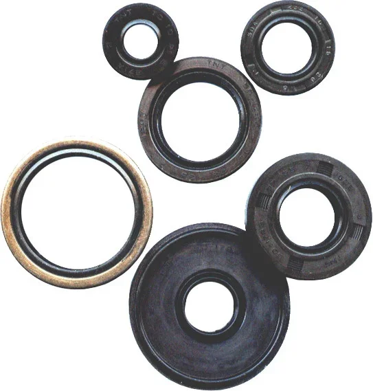 Vertex Premium Oil Seal Kit for ATV/UTV/Motorcycle - Durable Gasket Set for Leak-Proof Performance