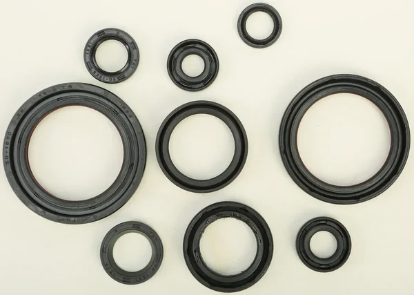 VERTEX Oil Seal Kit - Premium Gasket Replacement for Powersports Equipment