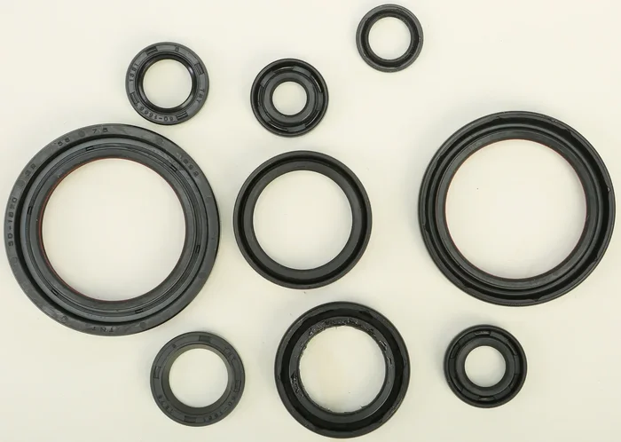 VERTEX Oil Seal Kit - Premium Gasket Replacement for Powersports Equipment