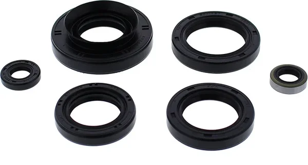 VERTEX Oil Seal Kit - Durable Gasket Set for Powersports Equipment