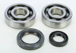 ProX Crankshaft Bearing & Seal Kit for High-Performance Engines – Durable & Reliable Replacement
