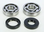 ProX 23.CBS21093 Crankshaft Bearing & Seal Kit - Durable Engine Repair Kit for Powersports