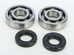 ProX 23.CBS22005 Crankshaft Bearing & Seal Kit - High-Quality Engine Replacement Parts