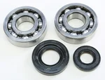 ProX Crankshaft Bearing & Seal Kit - Durable Engine Component for Powersports Vehicles