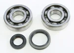 ProX Crankshaft Bearing & Seal Kit - Durable Engine Replacement for Powersports