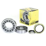 ProX Crankshaft Bearing & Seal Kit - Durable Engine Repair Kit for Powersports
