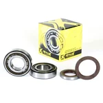 ProX Crankshaft Bearing & Seal Kit - High-Quality Engine Replacement for Powersports Vehicles