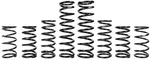 ZBROZ - K30-PL1031-0 - Dual Rate Spring Kit