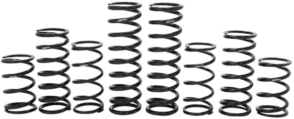 ZBROZ - K30-PL1033-0 - Dual Rate Spring Kit