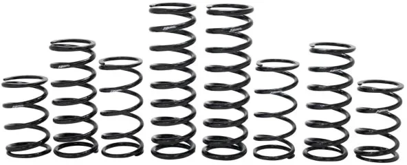 ZBROZ - K30-PL1036-0 - Dual Rate Spring Kit