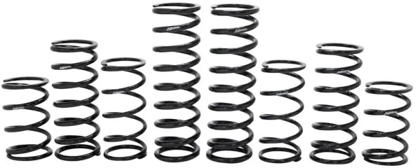 ZBROZ - K30-PL1036-0 - Dual Rate Spring Kit