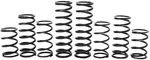 ZBROZ - K30-PL1036-0 - Dual Rate Spring Kit