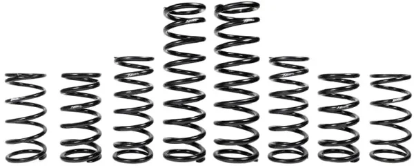 ZBROZ - K30-PL1035-0 - Dual Rate Spring Kit