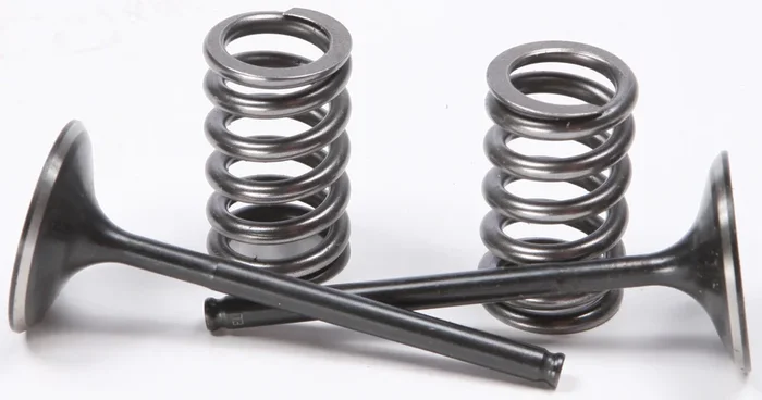 ProX Steel Intake Spring Kit - High-Performance Engine Valve Replacement for Powersports