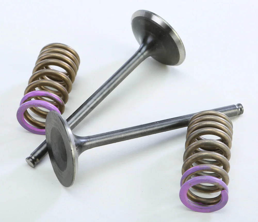 ProX Steel Intake Spring Kit - High-Performance Replacement for Titanium Valves