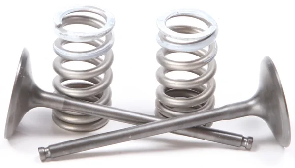 ProX Steel Intake Spring Kit - Durable Replacement for Titanium Valves | Engine Kit