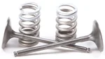 ProX Steel Intake Spring Kit - Durable Replacement for Titanium Valves | Engine Kit