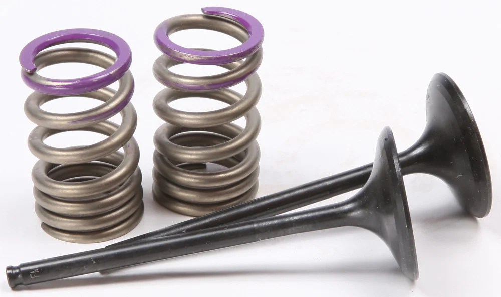 ProX Steel Intake Spring Kit - Durable Replacement for Titanium Valves | Engine Kit