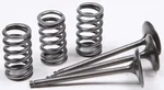 ProX Steel Intake Spring Kit - High-Performance Replacement for Titanium Valves