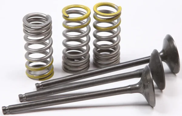 ProX Steel Intake Spring Kit - High-Performance Engine Valve Replacement for Powersports