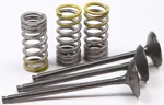 ProX Steel Intake Spring Kit - High-Performance Engine Valve Replacement for Powersports
