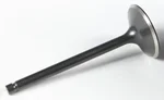 KPMI White Diamond Intake Valve - High-Performance Engine Component for Powersports