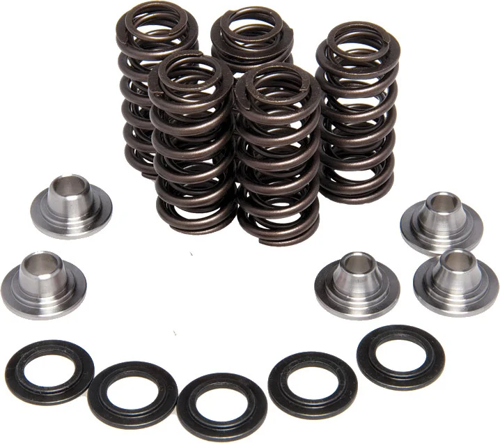 KPMI Racing Valve Spring Kit - High-Performance Chrome Silicon Springs for Engine Durability