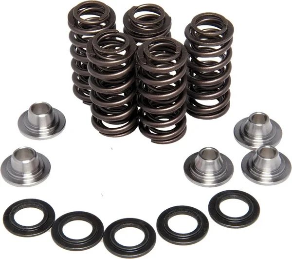KPMI Racing Valve Spring Kit - High-Performance Chrome Silicon Spring Kit for Engine Optimization