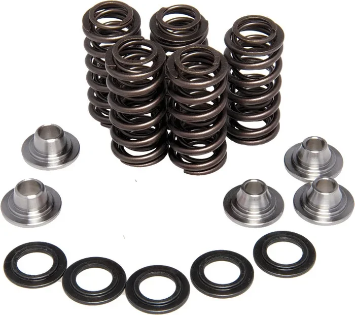 KPMI - 96-96250 - Racing Valve Spring Kit