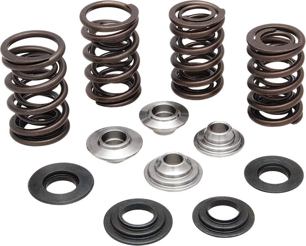 KPMI 20-20132 Valve Spring Kit - Premium Chrome Silicon Valve Springs for High-Performance Engines