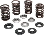 KPMI 20-20450 Valve Spring Kit - Premium Chrome Silicon Valve Springs for High-Performance Engines