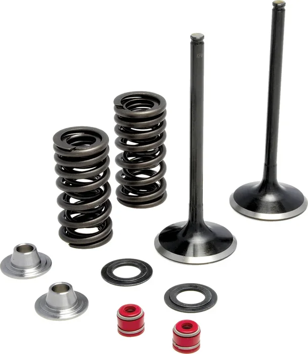 KPMI Intake Valve Spring Kit - Durable Stainless Steel Replacement for Enhanced Engine Performance