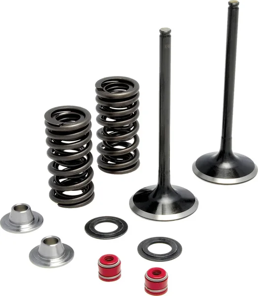 KPMI 30-31210 Intake Valve Spring Kit - Stainless Steel Engine Upgrade for Enhanced Performance & Durability