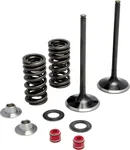 KPMI 30-31210 Intake Valve Spring Kit - Stainless Steel Engine Upgrade for Enhanced Performance & Durability