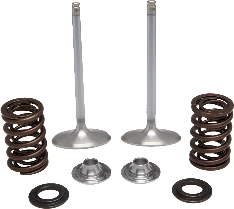 KPMI Intake Valve Spring Kit - Stainless Steel Replacement for Enhanced Engine Performance