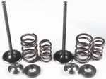 KPMI - 96-96450 - Intake Valve Spring Kit